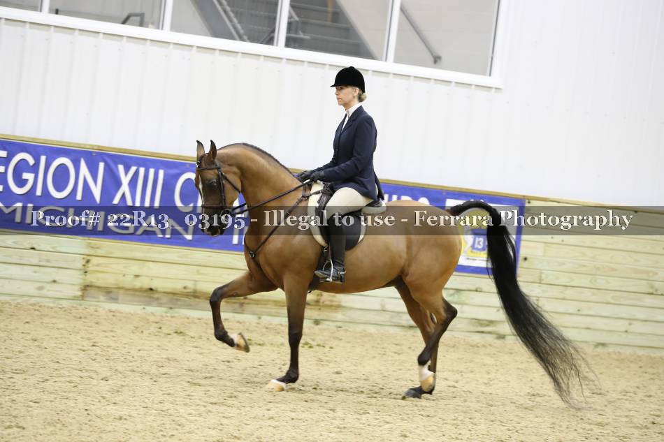 Proof 22R13_03195