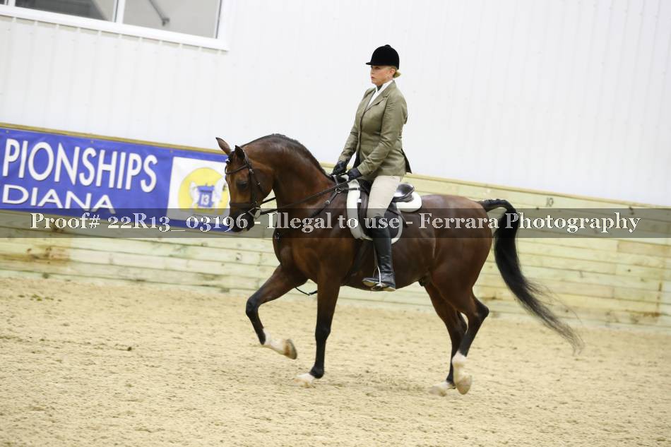 Proof 22R13_03196