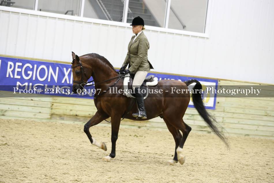 Proof 22R13_03197