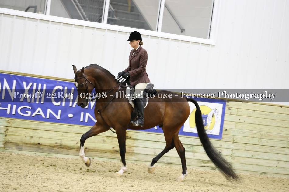 Proof 22R13_03198