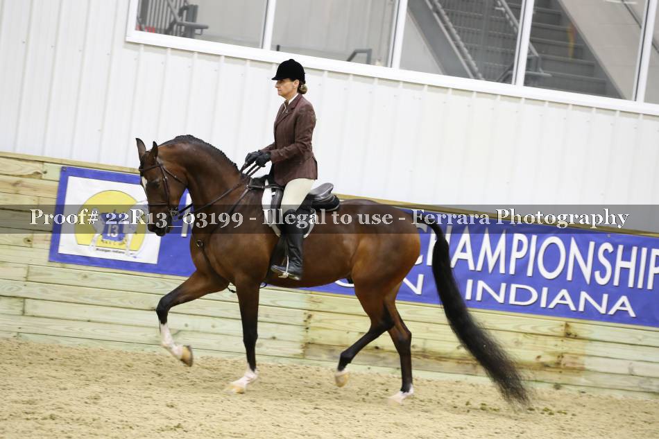 Proof 22R13_03199