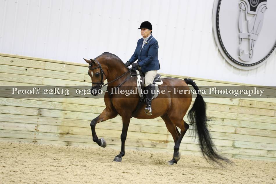 Proof 22R13_03200