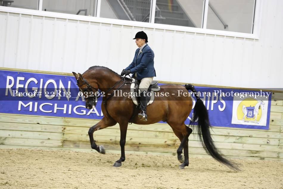 Proof 22R13_03202