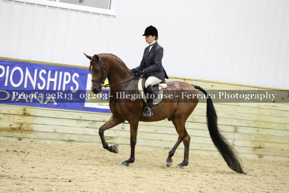 Proof 22R13_03203