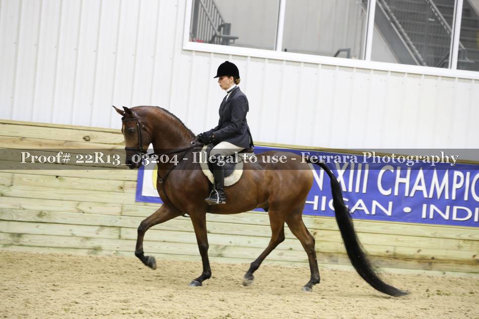 Proof 22R13_03204