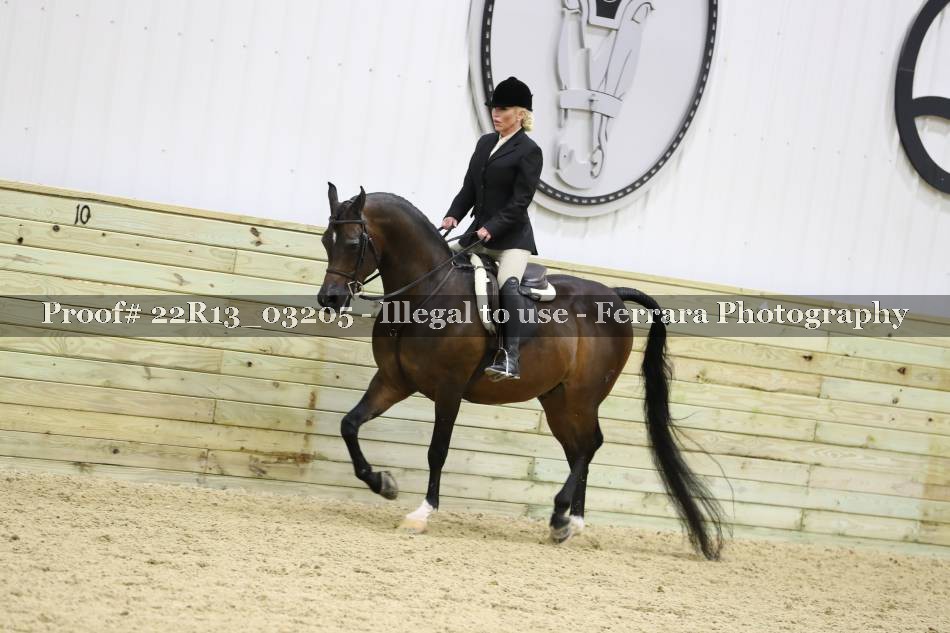 Proof 22R13_03205