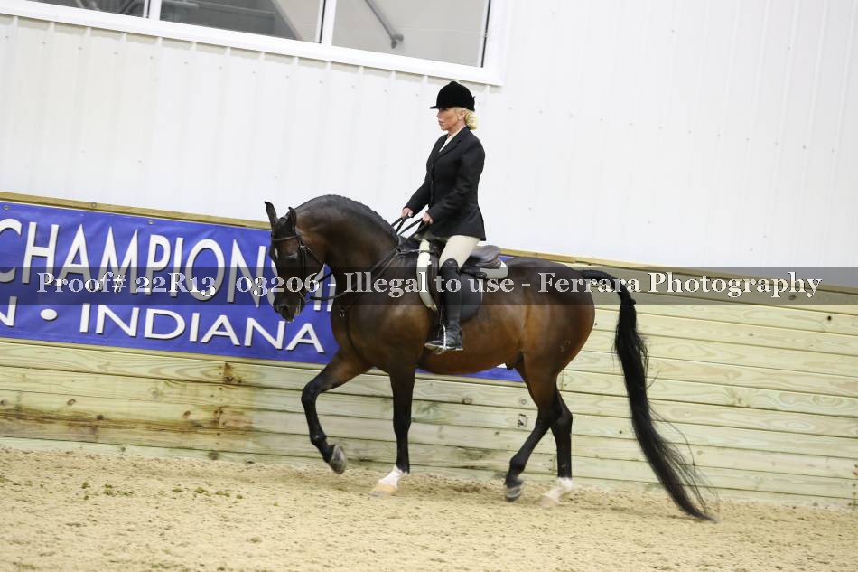Proof 22R13_03206