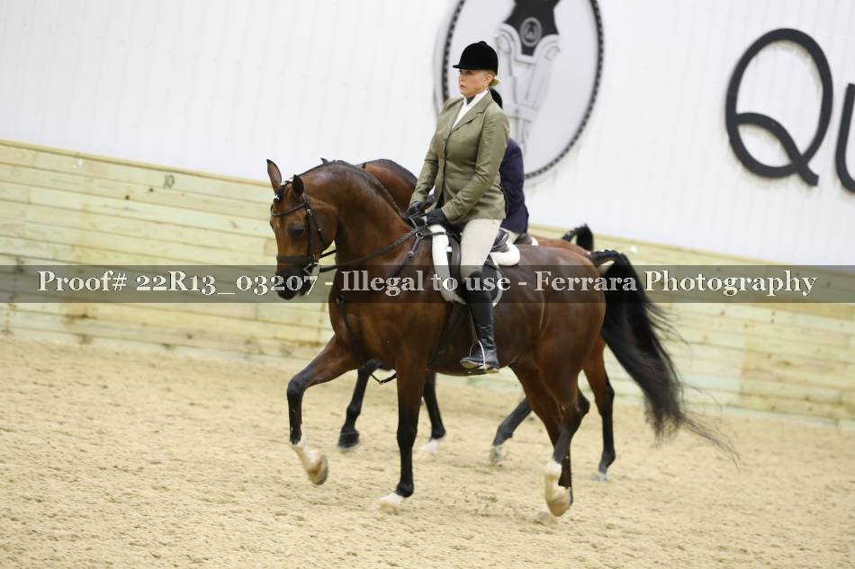 Proof 22R13_03207