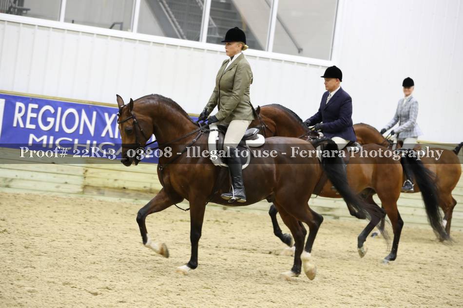 Proof 22R13_03208