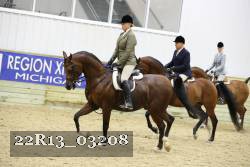 22R13_03208 proof