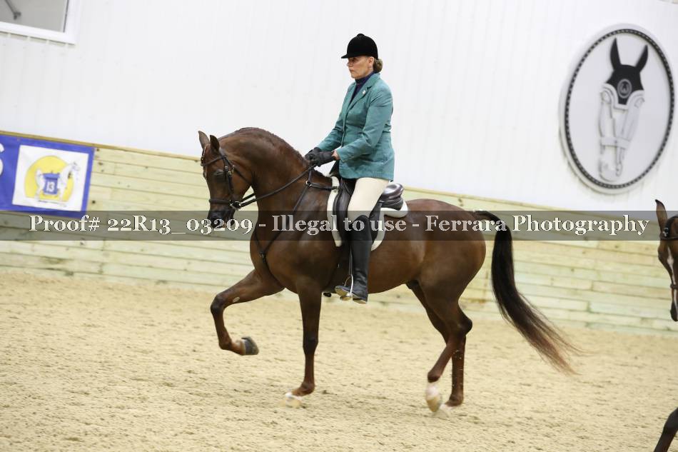 Proof 22R13_03209