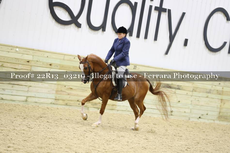 Proof 22R13_03210
