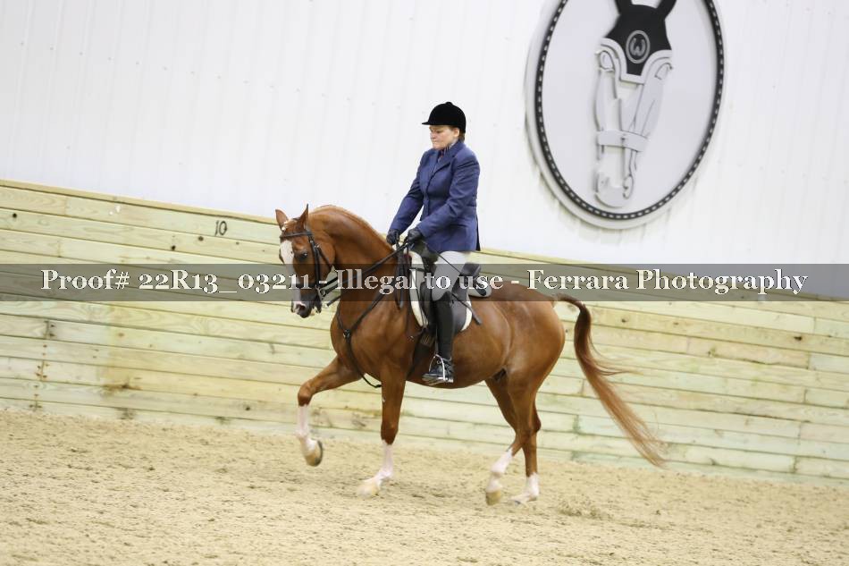 Proof 22R13_03211
