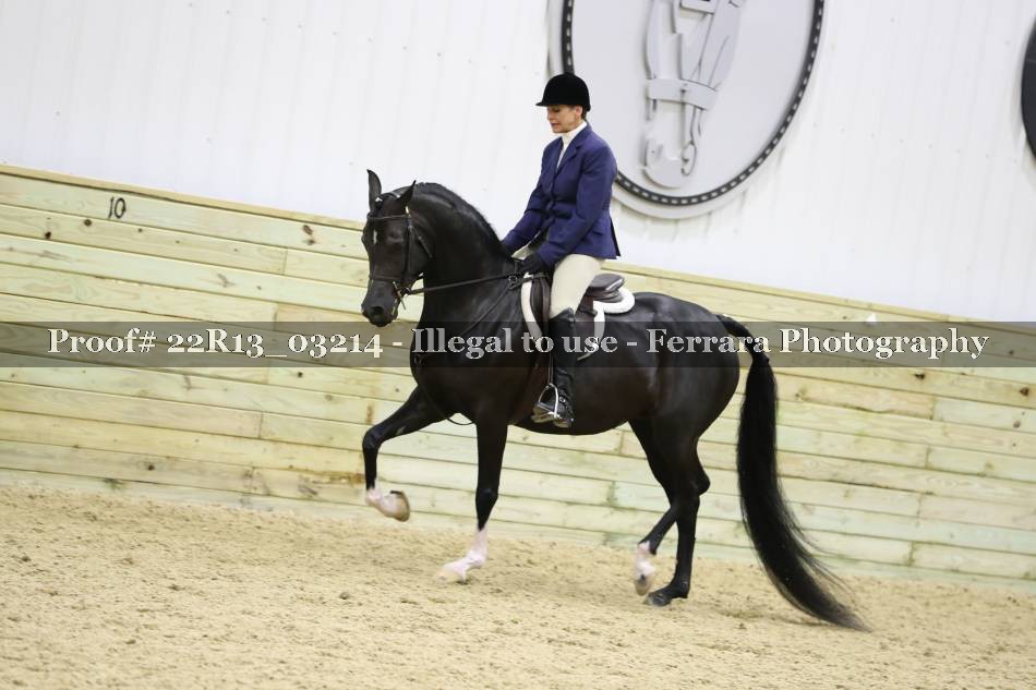 Proof 22R13_03214
