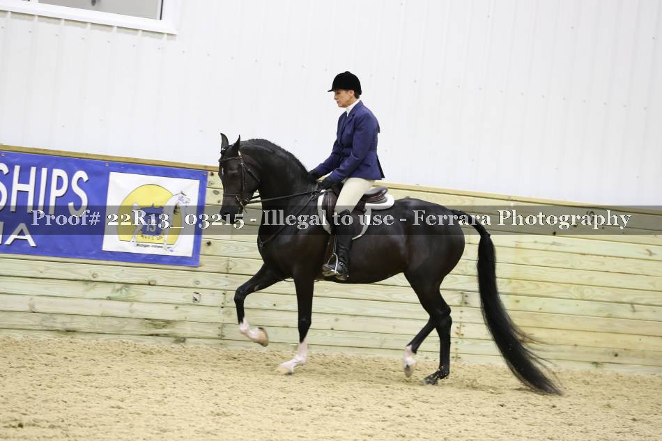 Proof 22R13_03215