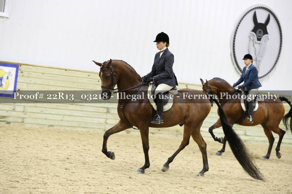 Proof 22R13_03218