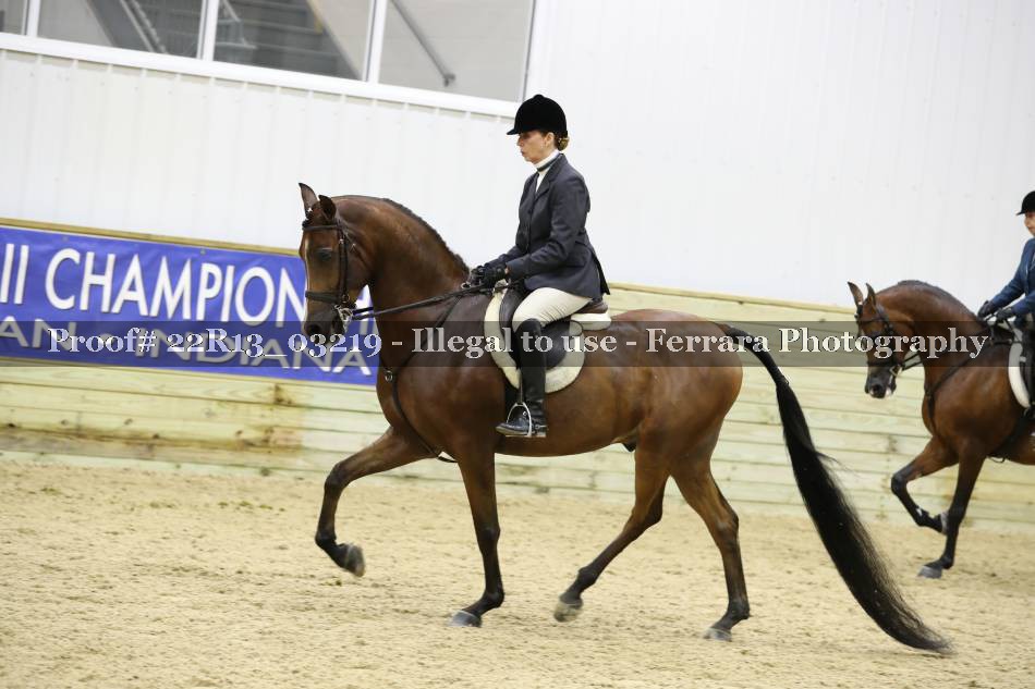 Proof 22R13_03219