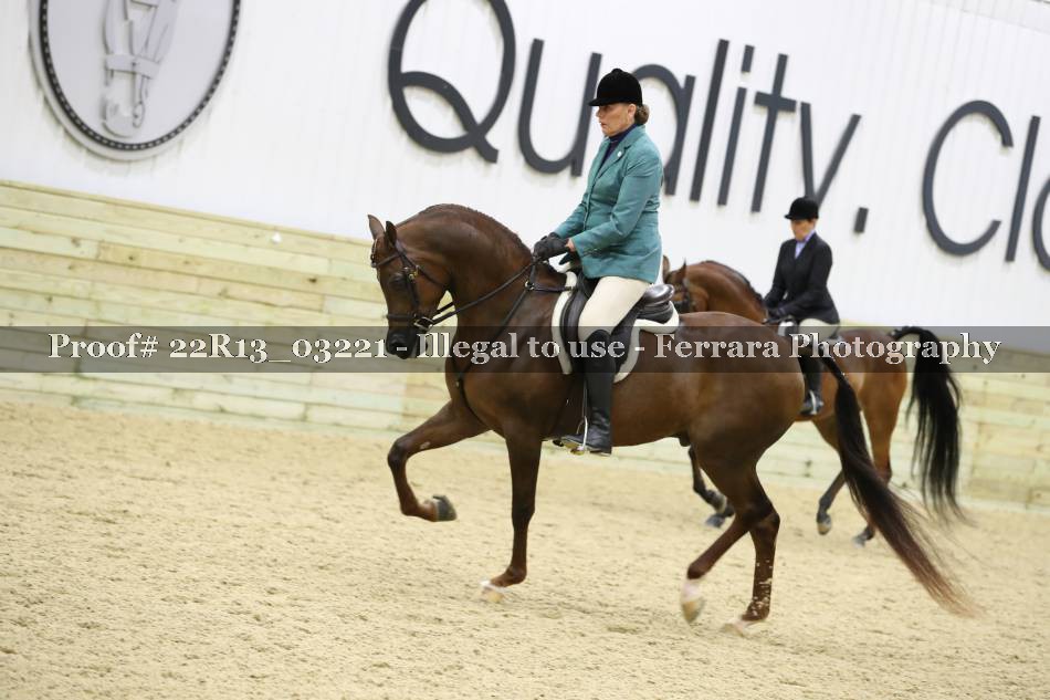 Proof 22R13_03221