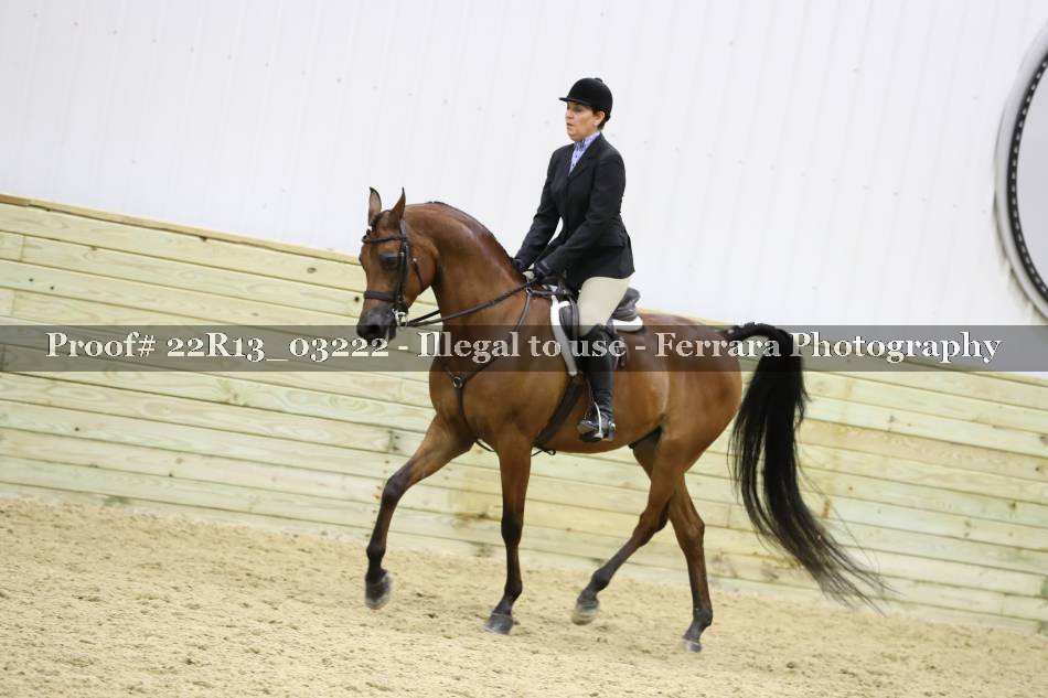 Proof 22R13_03222