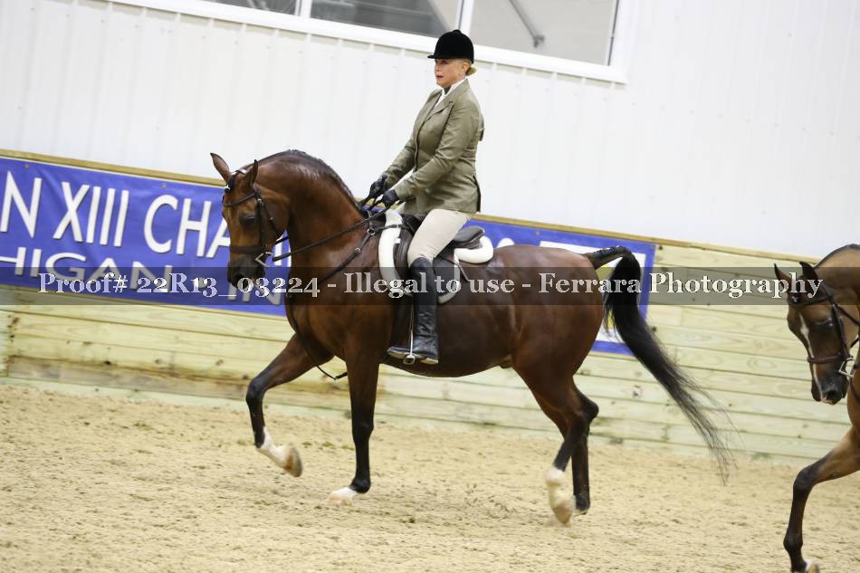 Proof 22R13_03224