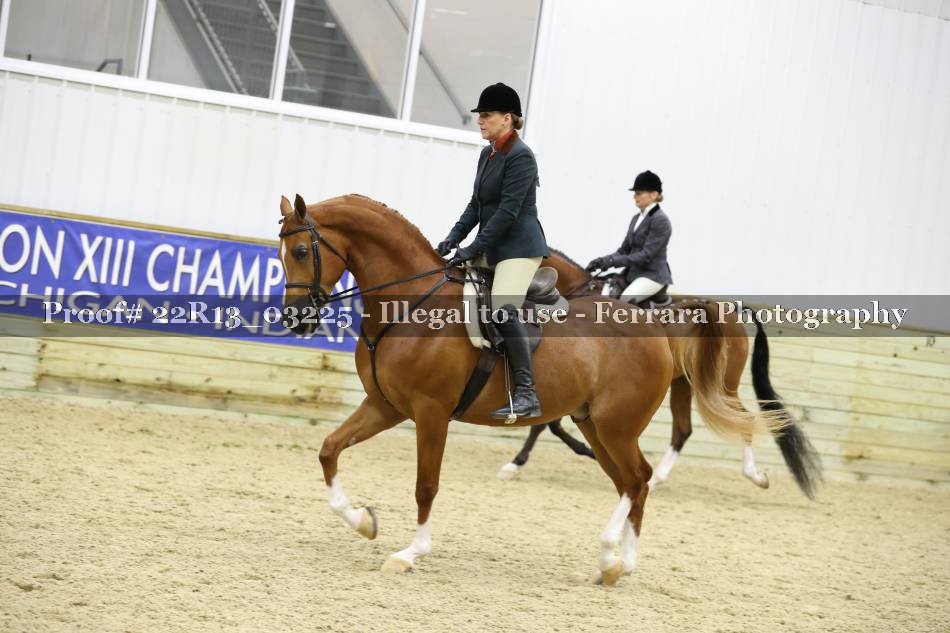 Proof 22R13_03225