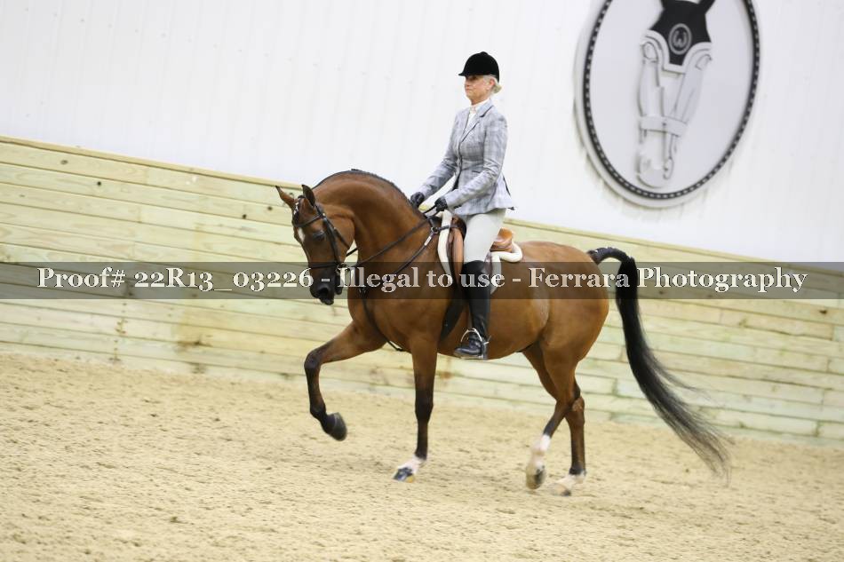 Proof 22R13_03226
