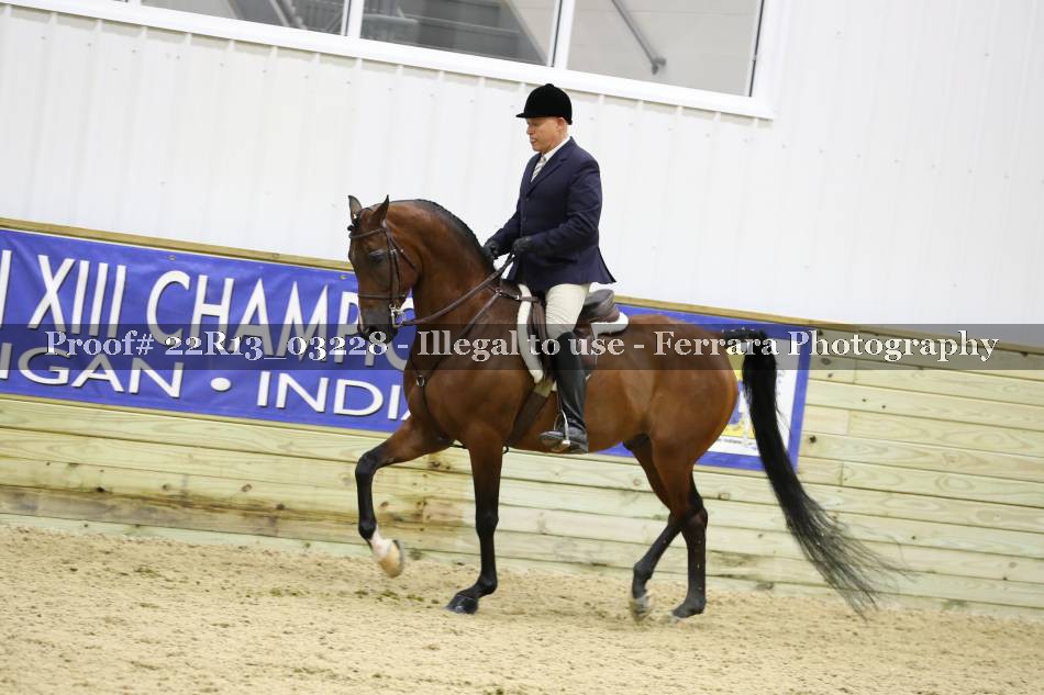 Proof 22R13_03228