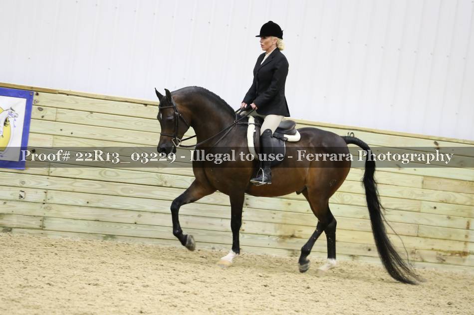 Proof 22R13_03229