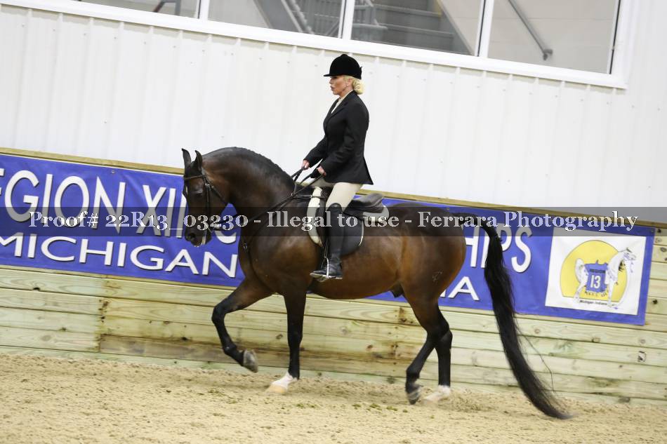 Proof 22R13_03230