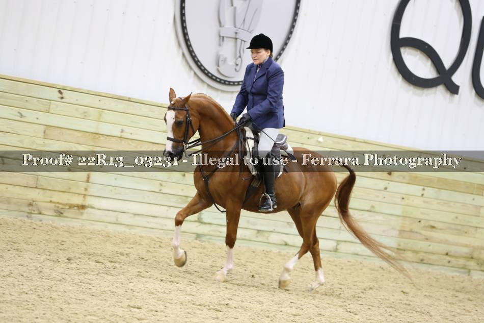 Proof 22R13_03231