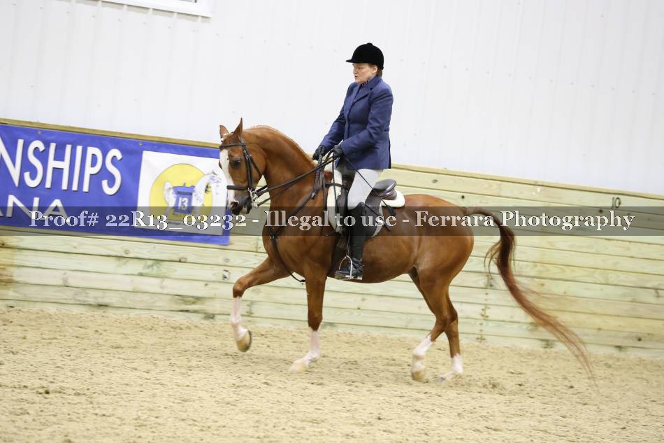 Proof 22R13_03232