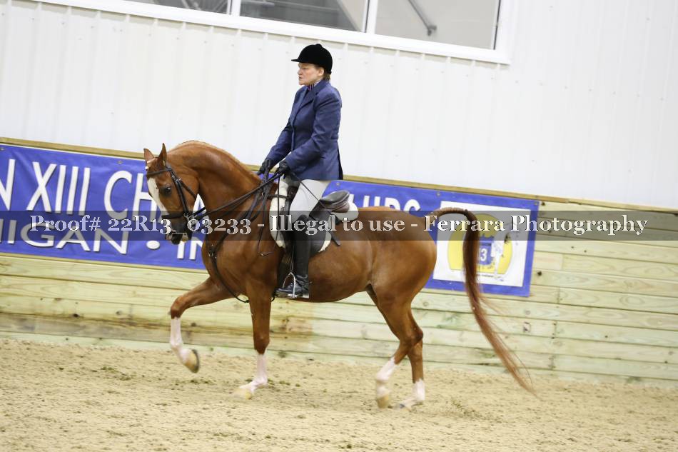 Proof 22R13_03233