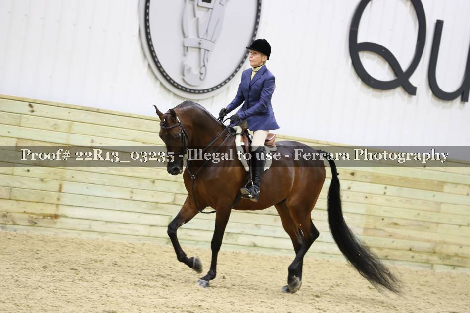 Proof 22R13_03235