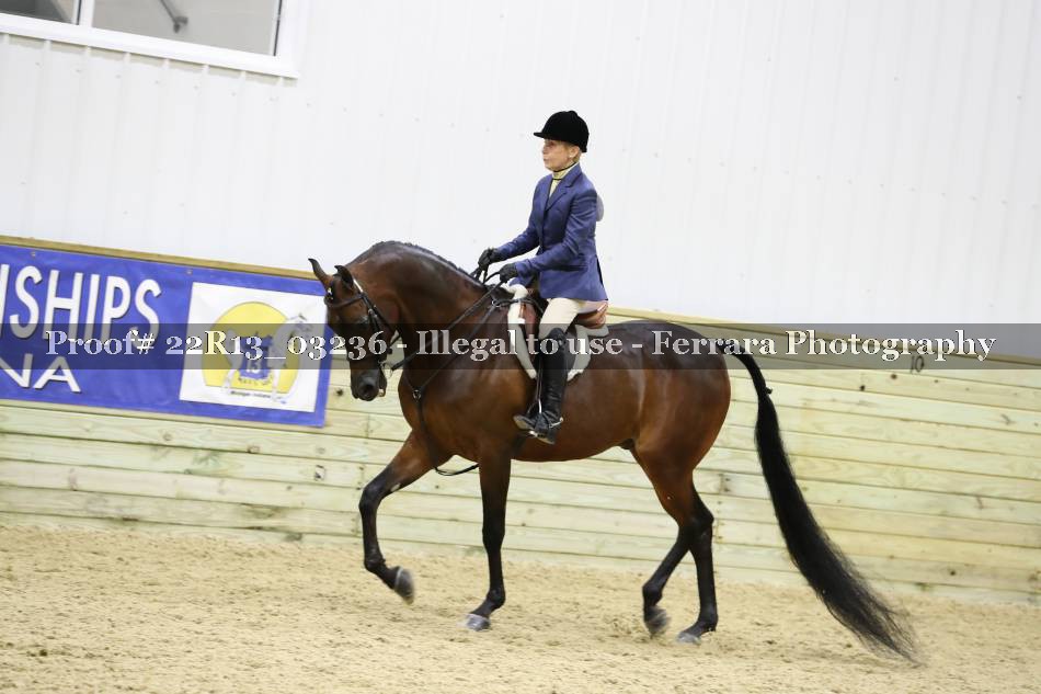 Proof 22R13_03236