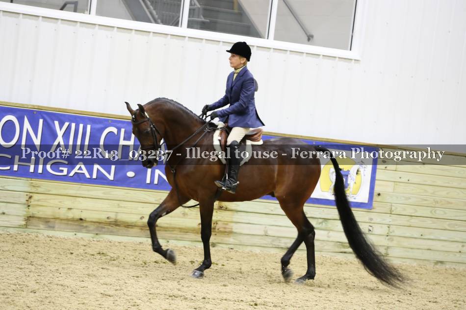 Proof 22R13_03237