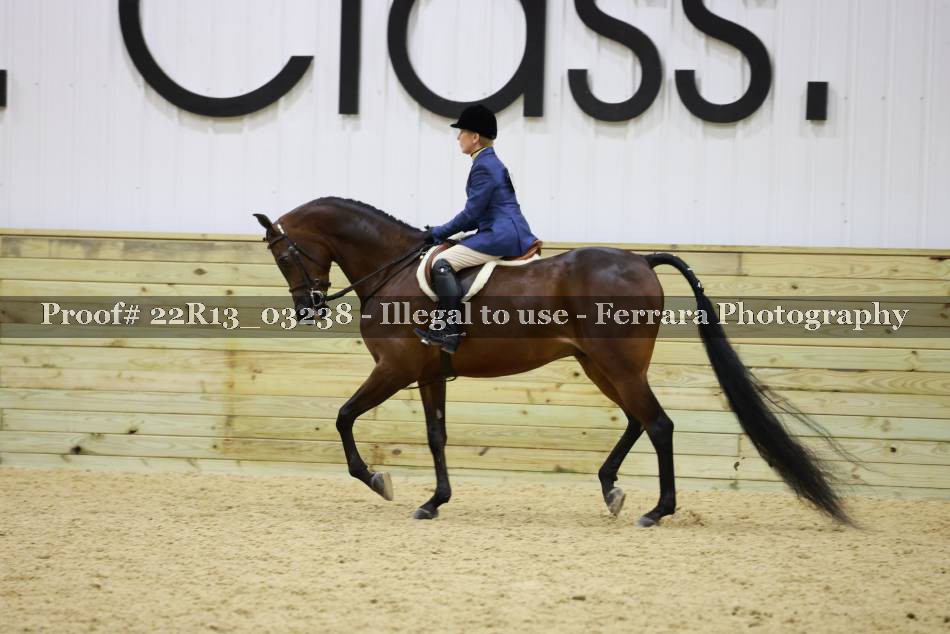 Proof 22R13_03238