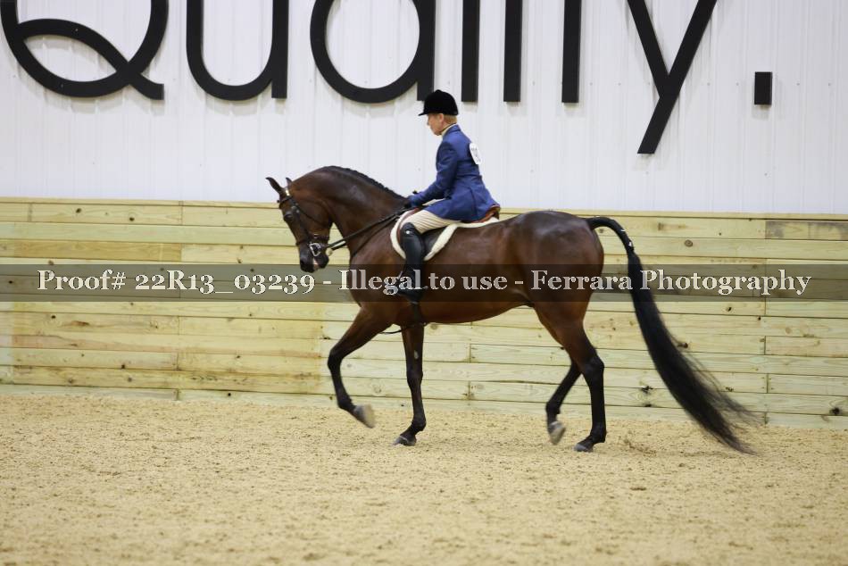 Proof 22R13_03239