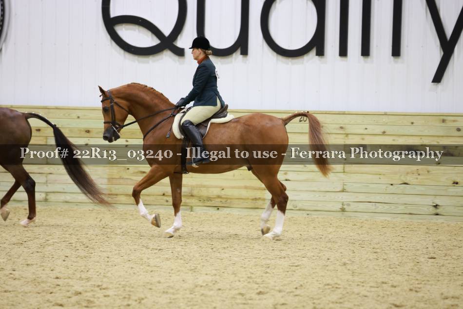 Proof 22R13_03240