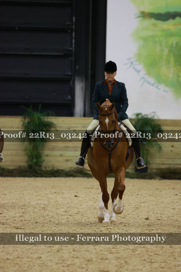 Proof 22R13_03242