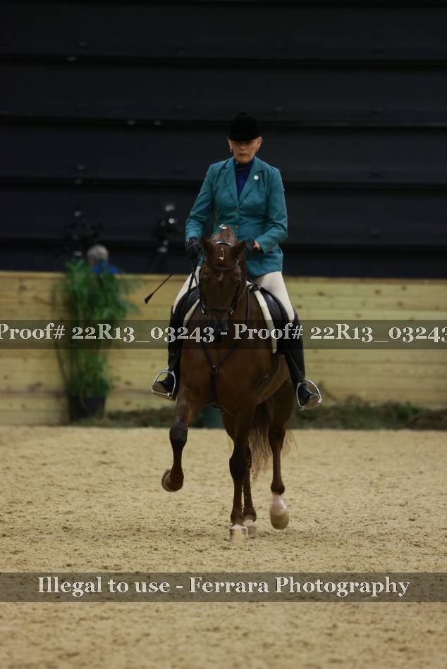 Proof 22R13_03243