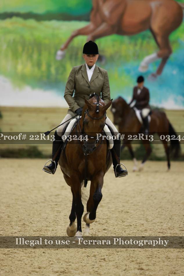 Proof 22R13_03244