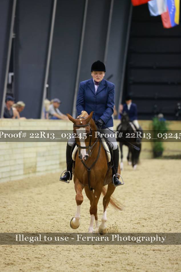 Proof 22R13_03245
