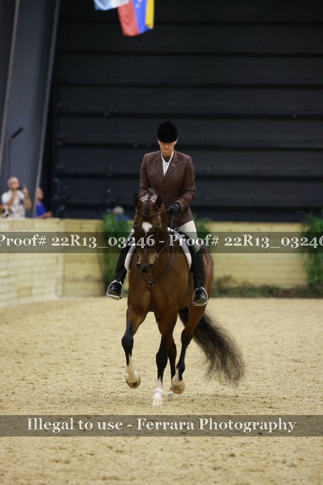 Proof 22R13_03246