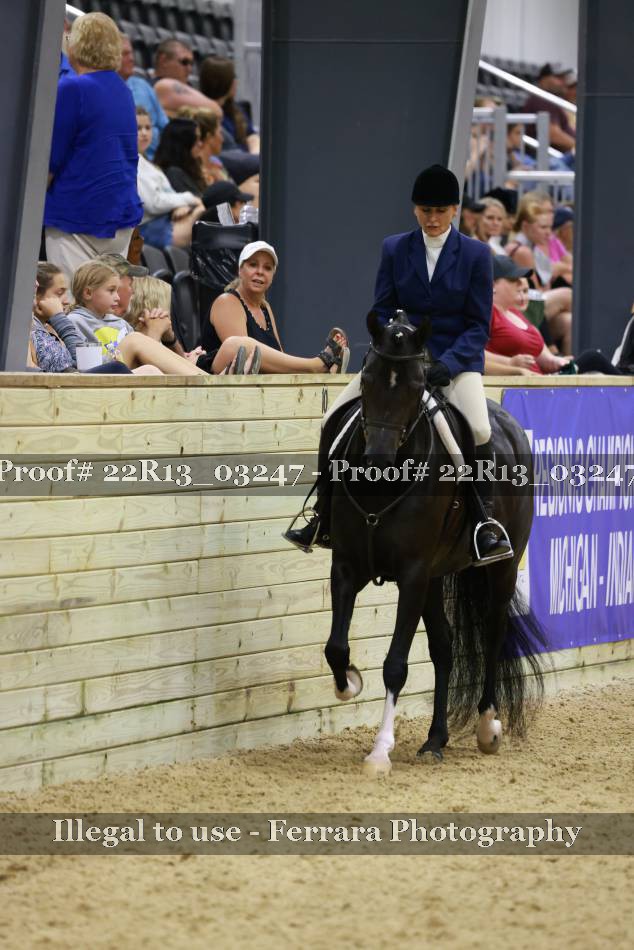 Proof 22R13_03247