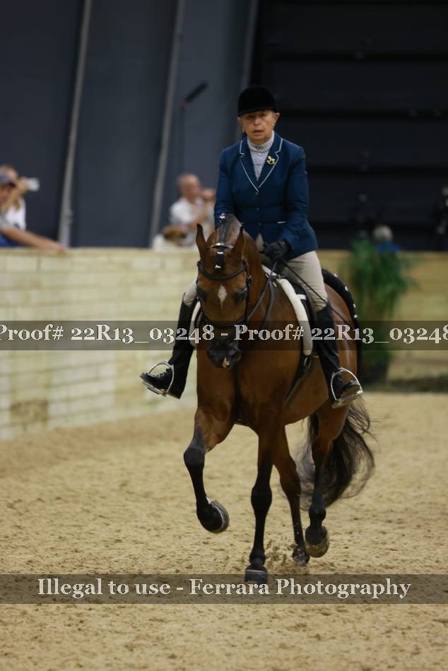 Proof 22R13_03248