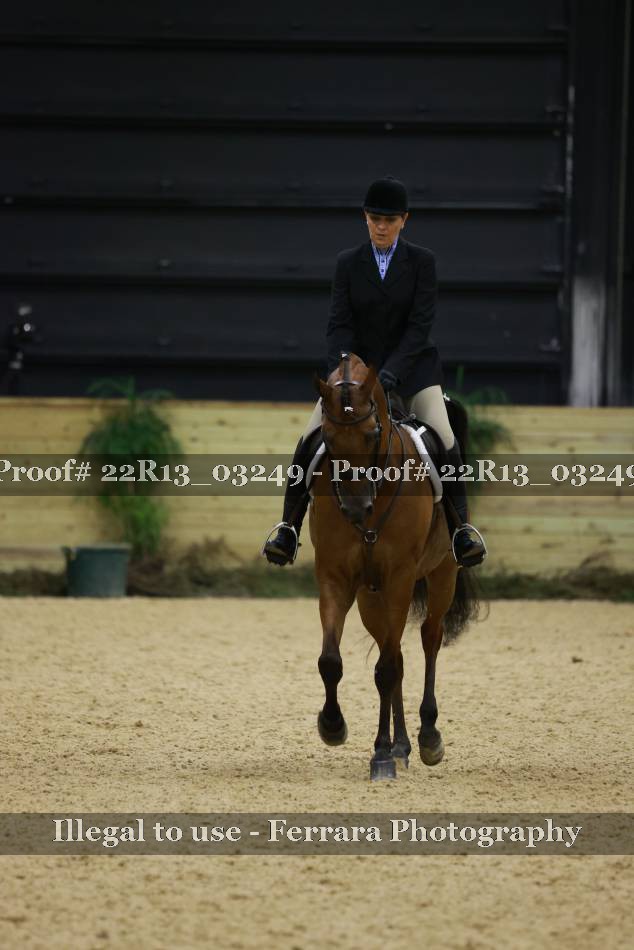Proof 22R13_03249