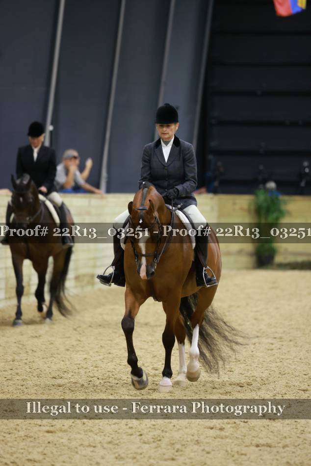 Proof 22R13_03251