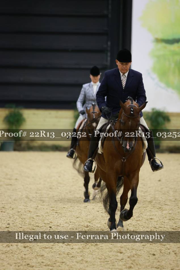 Proof 22R13_03252