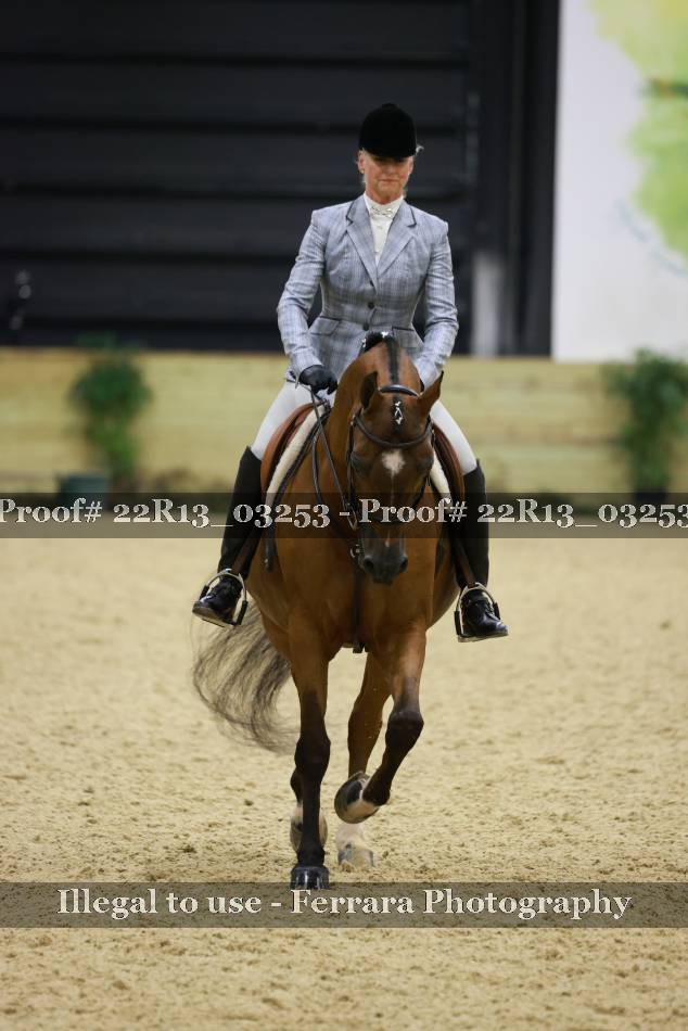 Proof 22R13_03253