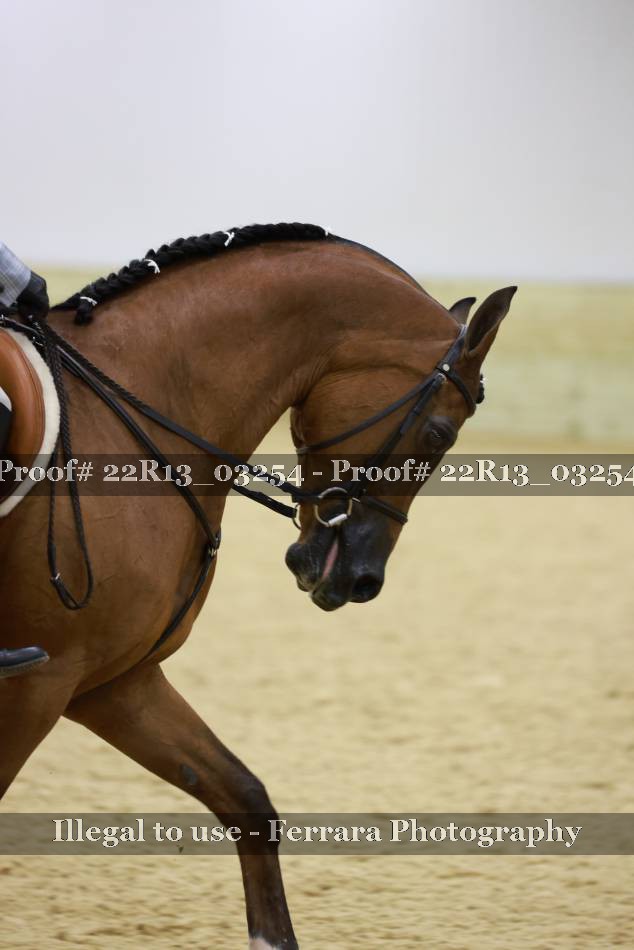 Proof 22R13_03254